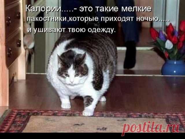 Ох, пора худеть