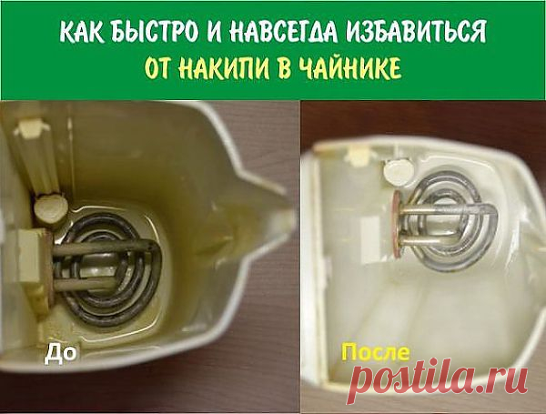 (8) Одноклассники