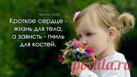 Без заголовка