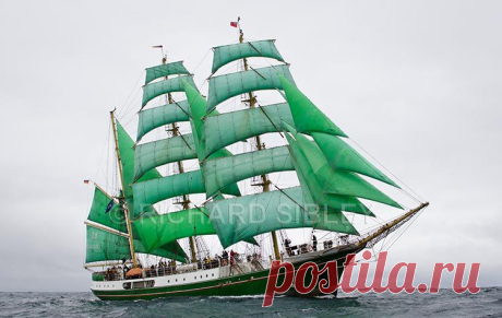 Альбом 19 «Галерея 19« Tall Ship расы