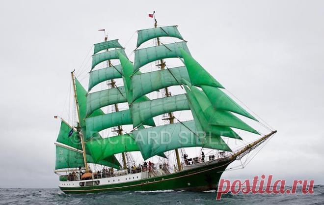 Альбом 19 «Галерея 19« Tall Ship расы