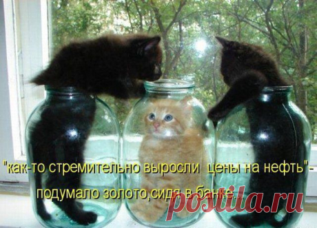 (65) Одноклассники