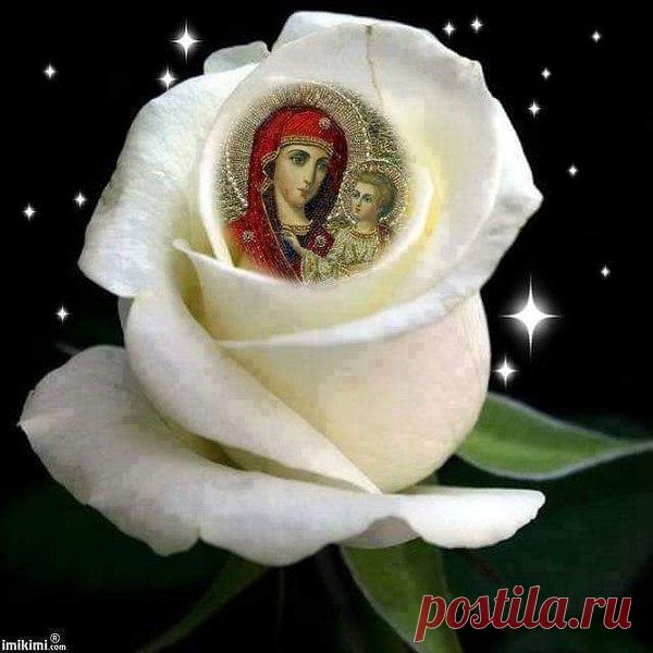 Ангел – хранитель в ночи –
Зажжет над тобой три свечи,
Первую - за любовь, Вечного счастья новь.
Вторую – за доброту, Правду и прямоту.
Третья свеча сохранит Тебя от невзгод и обид,
Пусть Богородица вас сохранит.
Доброй всем ночи!!!