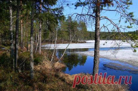 ВЕСНА. УЧИМ ПЕРЕСКАЗЫВАТЬ.