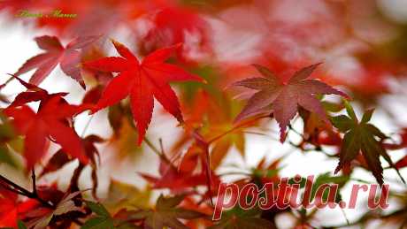 november13.jpg (1920×1080)