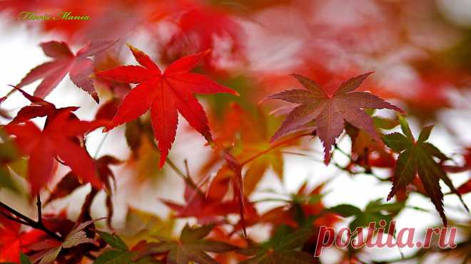 november13.jpg (1920×1080)