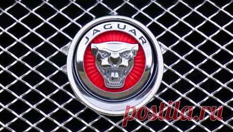 Как выбрать масло для автомобиля Jaguar
