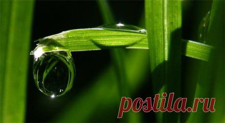 MAKRO FOTO