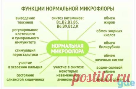 Максилин-пробиотк здоровья Пробиотик Максилин официально запатентованый препарат, первый | Прочие услуги в сфере красоты и здоровья в Новосибирске - Красота и здоровье на Gde.ru | 15.11.2021
