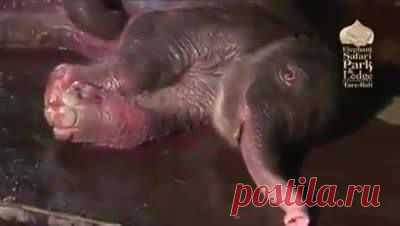 (72) Масхут Фазылов