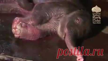 (72) Масхут Фазылов