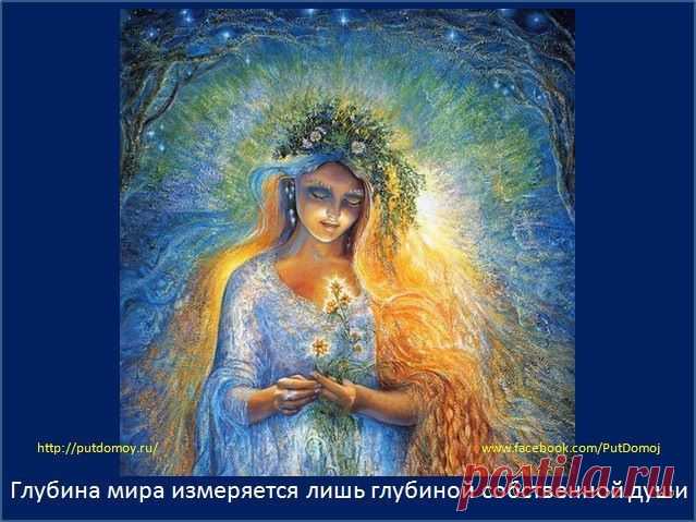 Беспредельность