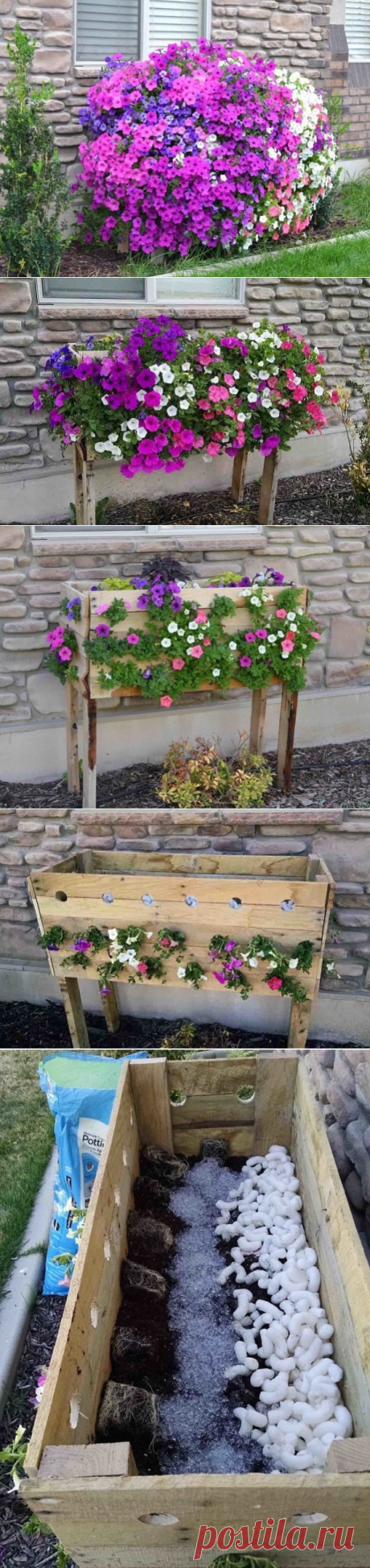 (1) Одноклассники