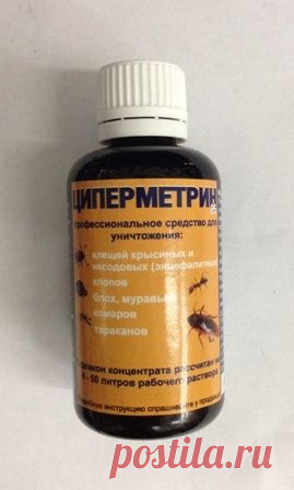 Циперметрин от клопов: как разводить и применять (инструкция)