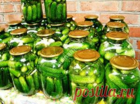 Солёные огурцы рецепт