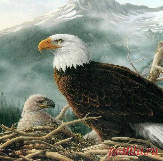 Интересные новости