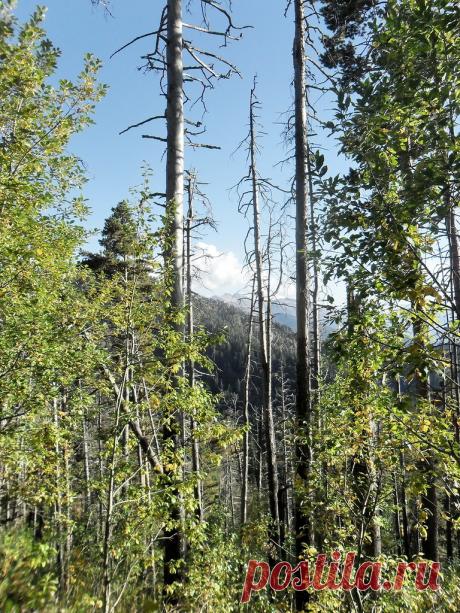 Фото из путешествий - 4 Марта 2018 - Персональный сайт