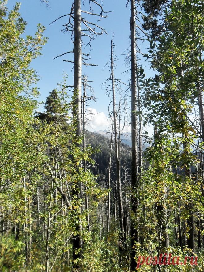 Фото из путешествий - 4 Марта 2018 - Персональный сайт