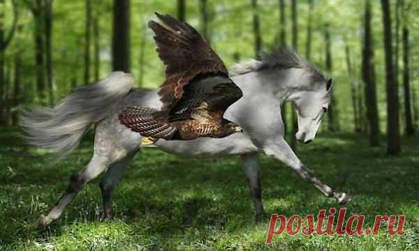 q7G0F6MHk_I.jpg (изображение «JPEG», 604 × 362 пикселов)