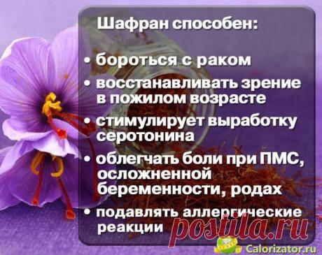 Царь пряностей и пряность царей 

Так в древности называли шафран – изысканную пряность, которую изготавливают из тычинок первых весенних цветов – крокусов. Ее преподносили в дар самым высокопоставленным особам. 

На Востоке за один его фунт давали арабского скакуна, а на Западе грамм шафрана оценивали, как грамм золота. Такая высокая стоимость связана не только с трудоемкостью производства этой специи, но и с ее удивительными способностями.