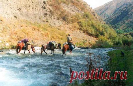 сары челек фото: 643 изображения найдено в Яндекс.Картинках