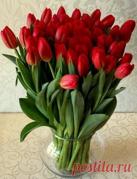 (4) Одноклассники