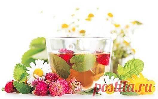 Рецепт для продления жизни.