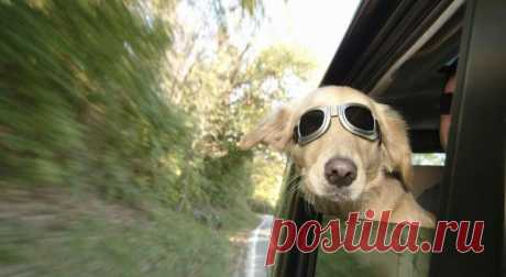 Симоронский ритуал «Волшебный ускоритель» | Блог Счастья!