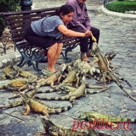 На это стоит посмотреть!