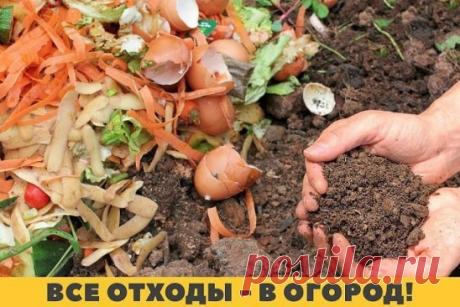 Все больше дачников отдают предпочтение экологическому земледелию. На своих шести сотках они практически не используют химикатов: только натуральное. Откуда берут? С собственного стола. 
Остатки хлеба, луковая и чесночная шелуха, яичная скорлупа, картофельные очистки, апельсиновые корки, спитый чай и кофейная гуща, рыбьи кости, банановая кожура, соль и остатки варенья... Все эти «лакомства» по вкусу и садово–огородным культурам. 
До последней крошки!
Черствый хлеб богат витаминами и микроэлем