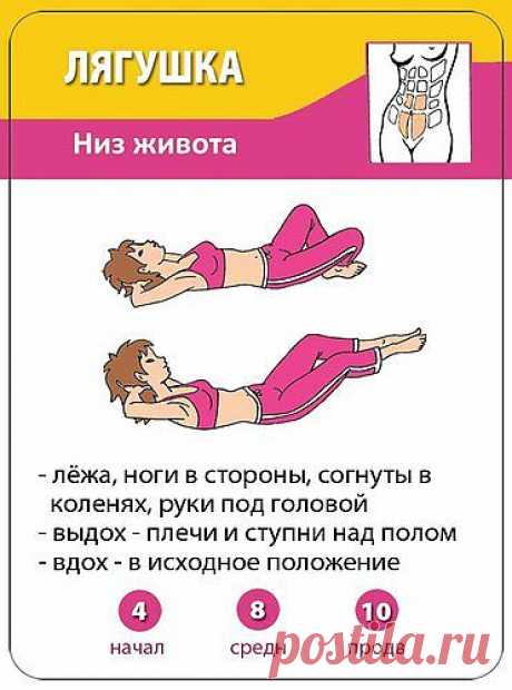 ЛЯГУШКА ДЛЯ ЖИВОТА
