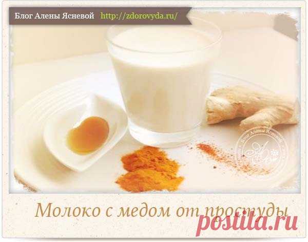 Молоко с медом при простуде - все секреты и советы