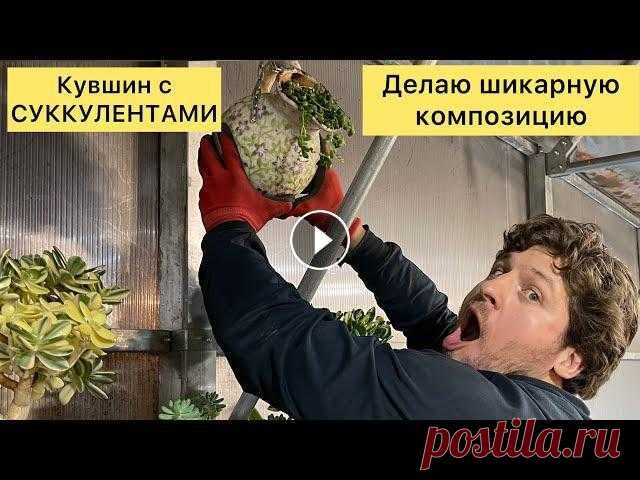Создание уникальной композиции из суккулентов «Водолей» авторский мастер-класс Георгий Аристов ???? Донатики на развитие Канала: Купить растения от Мастера можно тут: Группа Вконтакте: Сайт о суккулентах: Инстаграм Мастера Георгия Аристова: Теле...
