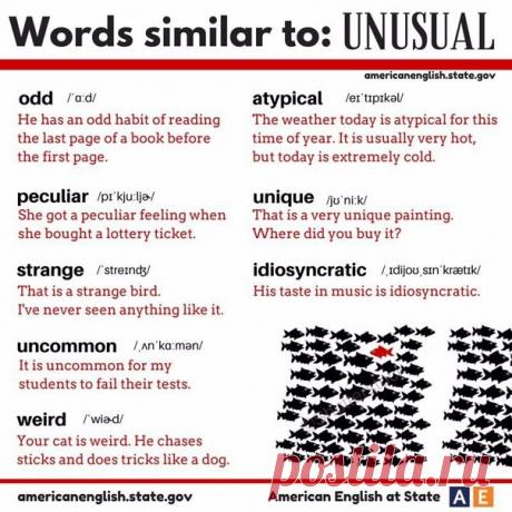 Words similar to... / Неформальный Английский