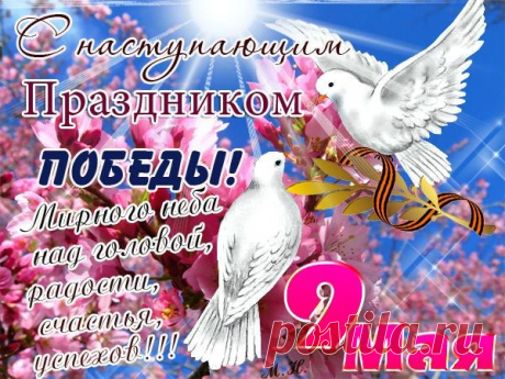 открытки с днем победы 9 мая: 18 тыс изображений найдено в Яндекс.Картинках