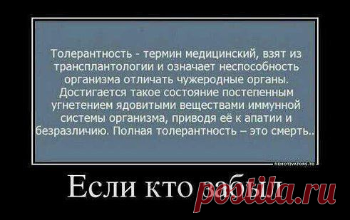 Переломный момент наступает. Не поможет укрофашистам и американской мрази «окно Овертона» | Новости, события, факты