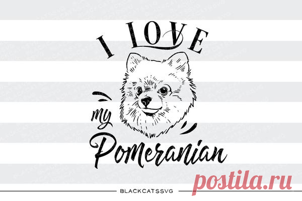 I love my Pomeranian -  SVG file Cutting File Clipart in Svg, Eps, Dxf, Png for Cricut & Silhouette I love my Pomeranian - SVG file This is not a vinyl, the file contains only digital files, and no material items will be shipped. This is a digital download of a word art vinyl decal cutting file, which can be imported to a number of paper crafting programs like Cricut Explore, Silhouette and some other cutting machine