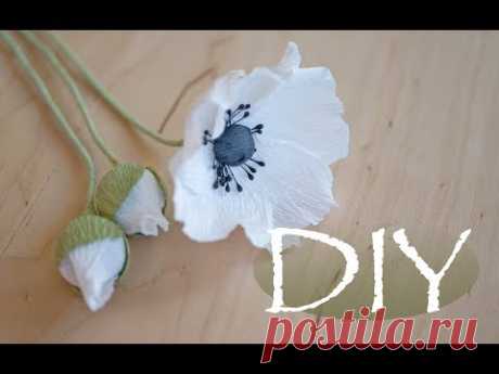 Анемоны или мак из бумаги DIY Tsvoric