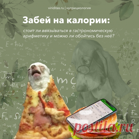 Рассказываю, почему считать калории — это бред и как худеть без этого. Блог дипломированного нутрициолога | Viriditas • Блог о правильном питании | Дзен