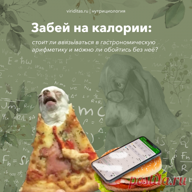 Рассказываю, почему считать калории — это бред и как худеть без этого. Блог дипломированного нутрициолога | Viriditas • Блог о правильном питании | Дзен