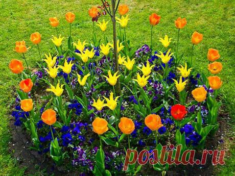 Самые оригинальные и красивые клумбы. Подбираем разные идеи для своей дачи или участка!. Комментарии