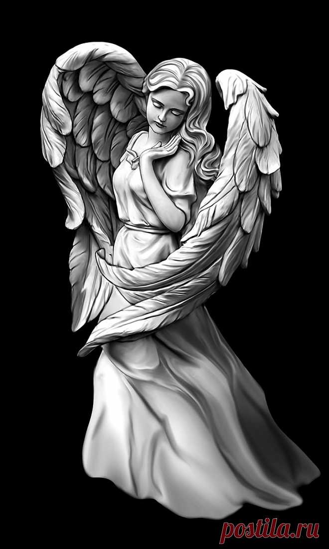 am8040.jpg (900×1500)