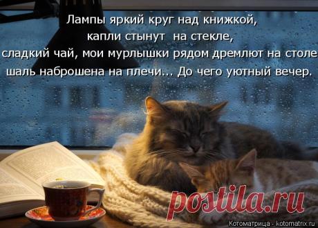 ДОБРЫЙ УЮТНЫЙ ВЕЧЕР!