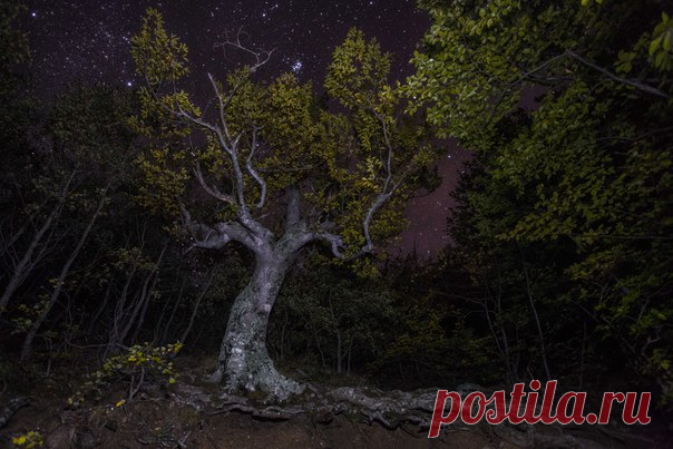 «Долина Привидений». Крым. Автор фото – Михаил Поляков: Добрых снов.