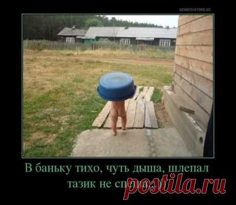 Тазик | Позитив