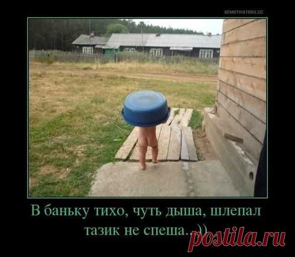 Тазик | Позитив