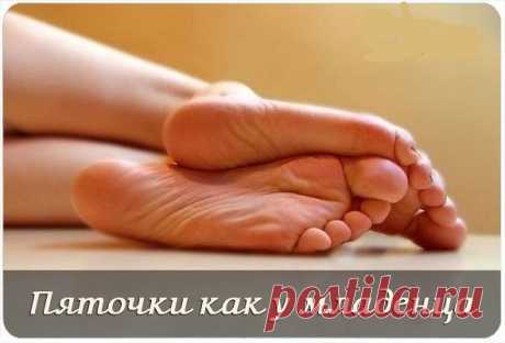 (33) Одноклассники