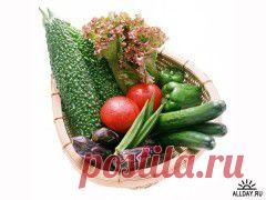 Огурцы в горчичной заливке | Домашнее консервирование