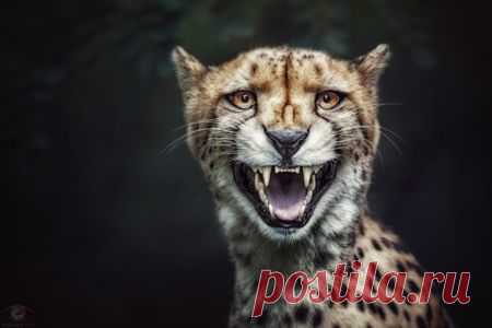 Be different... / 500px