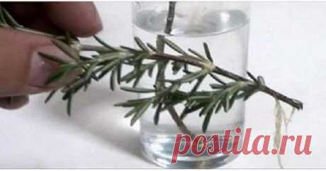 Продукты которые ускоряют восстановление костей, улучшают зрение и мозговую активность Стоит сохранить этот список!